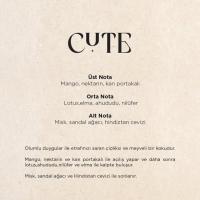 A1 Pro 900 Koku Makinesi ve Cute A1 Koku Kartuşu 200 ML Seti(447040057)80488