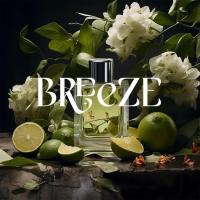 Breeze E2 Power Koku Kartuşu 125 ML(437040064)55104