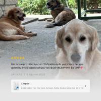 Enzimatik 1 LT ve Çok Amaçlı Kötü Koku Giderici 500 ML Set(430040418)94154