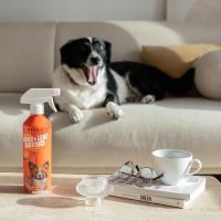 Evcil Hayvan Koku Ve Leke Giderici Enzimatik Sprey 500 ML(430040428)29019