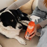 Evcil Hayvan Koku Ve Leke Giderici Enzimatik Sprey 500 ML(430040428)29019