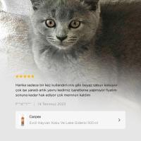 Evcil Hayvan Koku Ve Leke Giderici Enzimatik Sprey 500 ML(430040428)29019