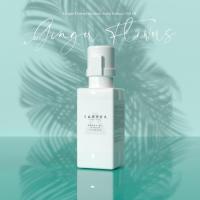 Ginger Flowers Auramax Koku Kartuşu 250 ML(437040150)77723